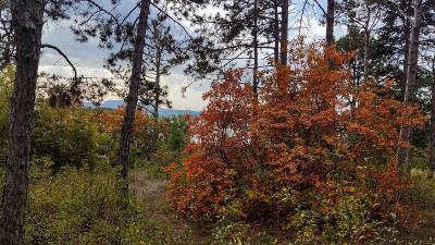 Прикрепленное изображение: i (1).jpg